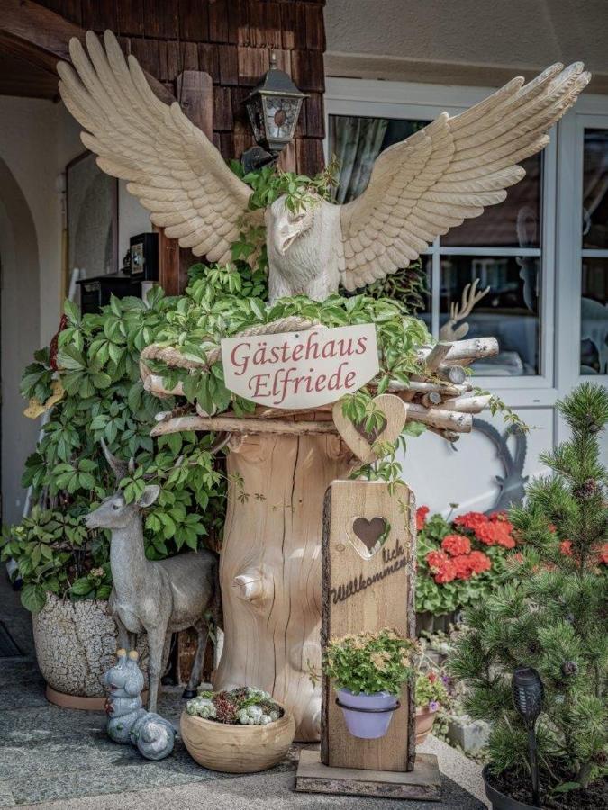 Gaestehaus Elfriede Inklusive Sommerbergbahnticket * Haldensee